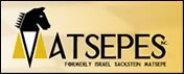 Matsepes Inc logo